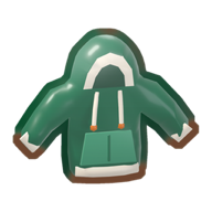 A green hoodie